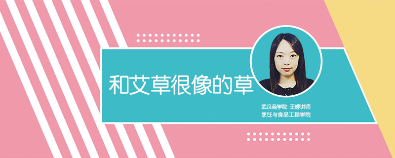 叫頭是什么菜