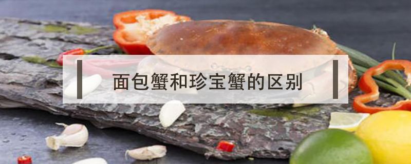 面包蟹和珍寶蟹的區(qū)別