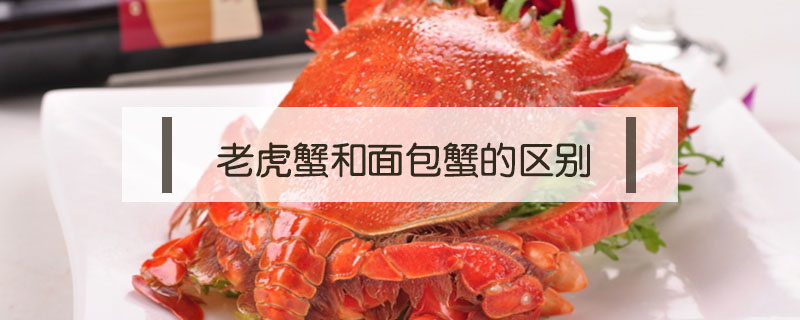 老虎蟹和面包蟹的區(qū)別