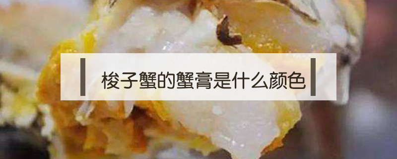 梭子蟹的蟹膏是什么顏色