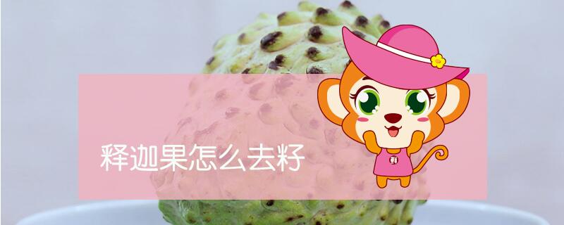 釋迦果怎么去籽