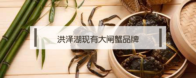 洪澤湖現(xiàn)有大閘蟹品牌