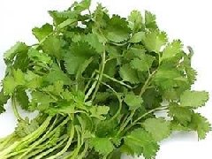 香菜什么時(shí)候種植最好，香菜種植方法和時(shí)間