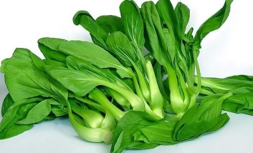 小青菜開水燙過能隔夜嗎，開水燙青