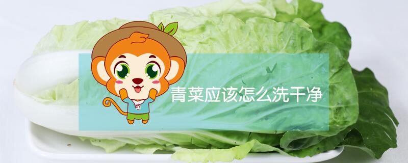 青菜應該怎么洗干凈