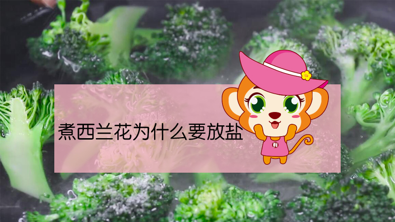 煮西蘭花為什么要放鹽