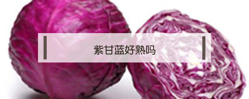紫甘藍(lán)好熟嗎