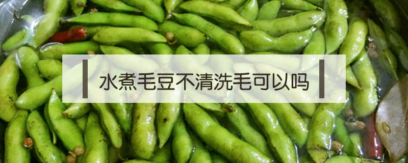 水煮毛豆不清洗毛可以嗎
