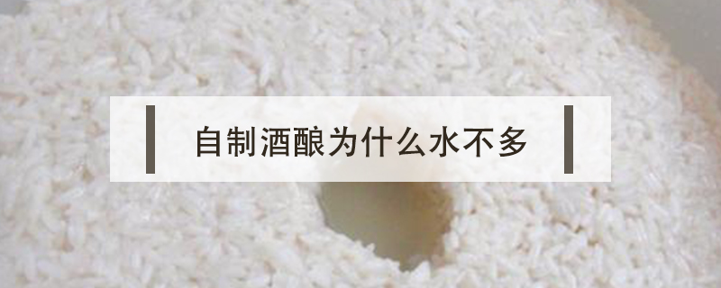 自制酒釀為什么水不多