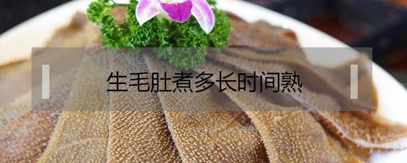 生毛肚煮多長時間熟