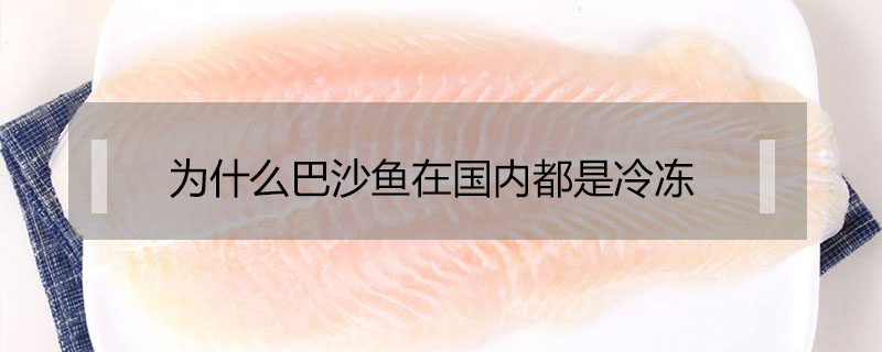 為什么巴沙魚在國內都是冷凍