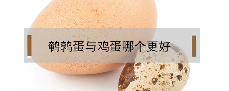 鵪鶉蛋與雞蛋哪個(gè)更好