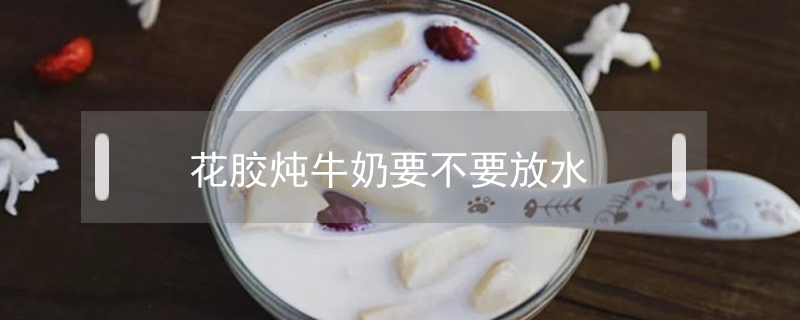 花膠燉牛奶要不要放水