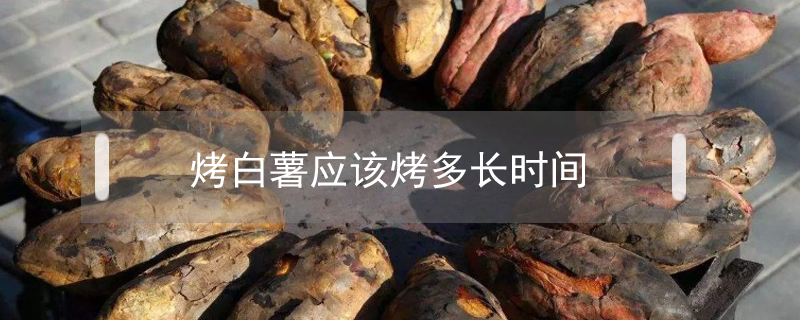 烤白薯應(yīng)該烤多長時間