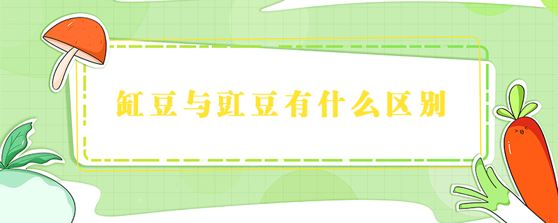 缸豆與豇豆有什么區別