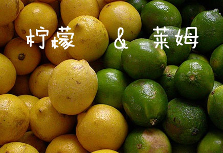 萊姆圖片，萊姆的功效與作用，萊姆營養(yǎng)價值