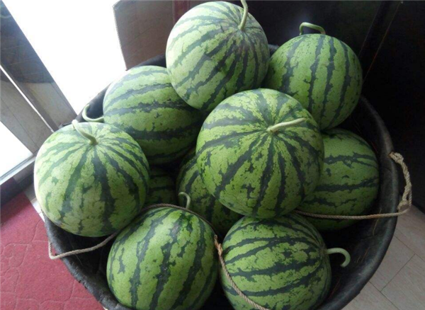 麒麟瓜有哪些營養價值 吃麒麟瓜有什么好處