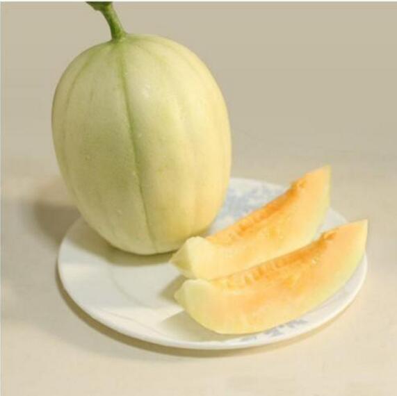 香瓜圖片，香瓜開花圖片，香瓜怎么挑好