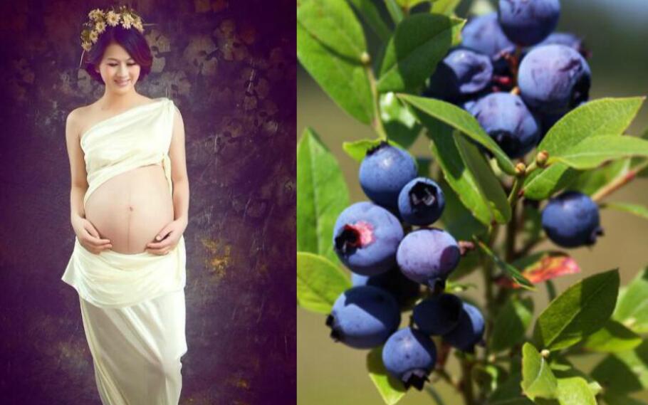 孕婦能吃藍莓嗎 藍莓的營養價值