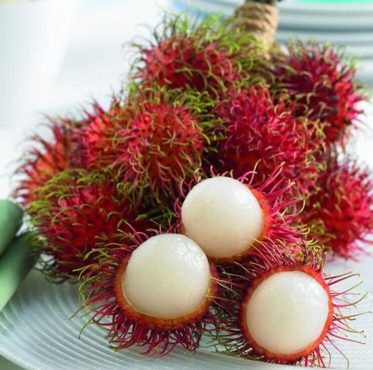 紅毛丹長(zhǎng)什么樣，紅毛丹圖片詳解