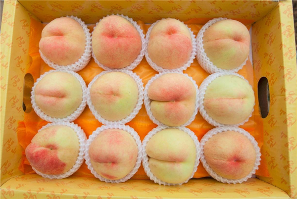 無錫水蜜桃價(jià)格 無錫水蜜桃多少錢一斤