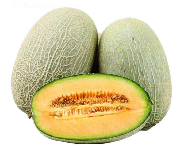 哈密瓜圖片，哈密瓜種子，哈密瓜長在哪