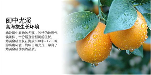 脆皮金桔哪里的最正宗 脆皮金桔產(chǎn)自哪里