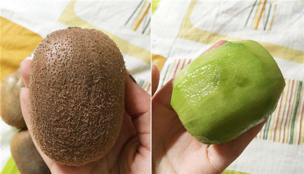 獼猴桃?guī)自路莩墒?獼猴桃成熟時(shí)期在8~11月