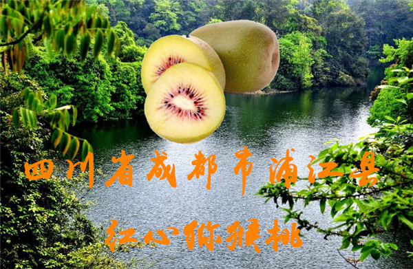 紅心獼猴桃哪里最正宗 紅心獼猴桃的原產地在哪