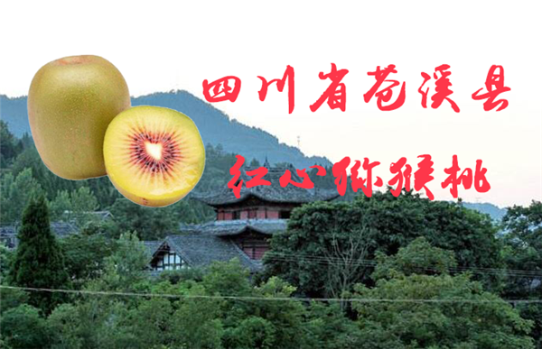 紅心獼猴桃哪里最正宗 紅心獼猴桃的原產地在哪