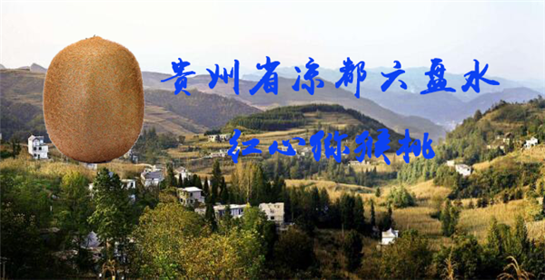紅心獼猴桃哪里最正宗 紅心獼猴桃的原產地在哪