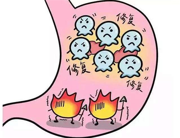 姑娘果為什么叫姑娘 姑娘果的名字由來是什么