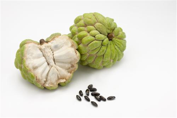 釋迦果圖片 釋迦果樹盆栽圖片 釋迦果是什么味道