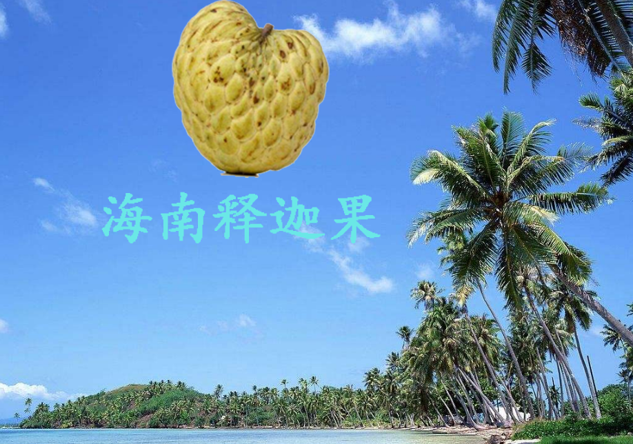 釋迦果哪里產的好吃,釋迦果的產地在哪