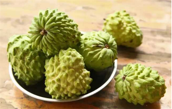 釋迦果哪里產的好吃,釋迦果的產地在哪