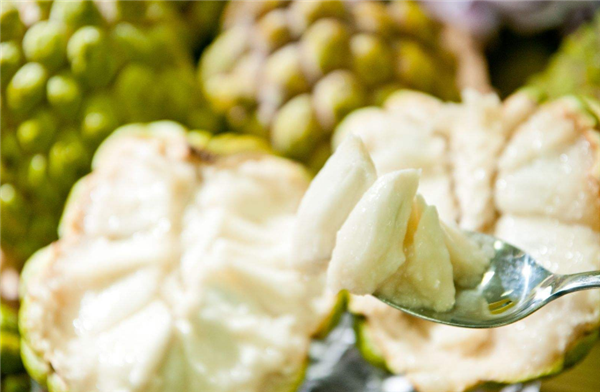 釋迦果為什么那么貴 釋迦果貴的原因是什么