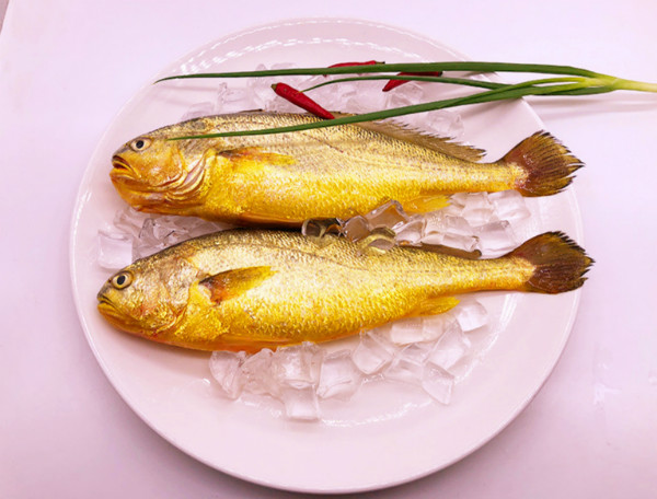 黃魚多少錢一斤，不同品種的黃魚價格都不等