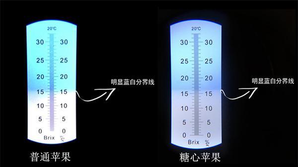 普通蘋果和糖心蘋果的區別