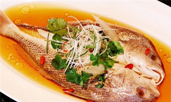 清蒸鱸魚最簡單的做法，四步學會清蒸鱸魚做法