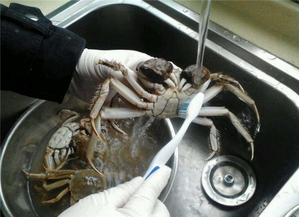 大閘蟹如何清洗，大閘蟹清洗前用酒泡出內(nèi)漬