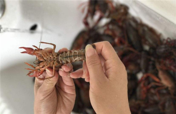 蝦尾怎么清洗，清洗蝦尾有兩方法