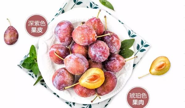 西梅是什么季節(jié)水果，西梅的營養(yǎng)價(jià)值
