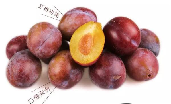 西梅是什么季節(jié)水果，西梅的營養(yǎng)價(jià)值