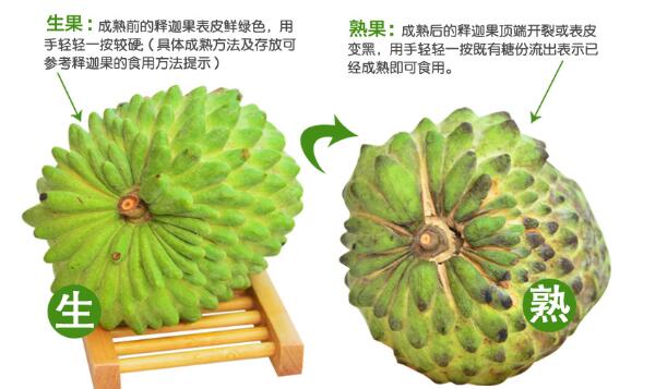 釋迦果的籽有毒嗎，釋迦果的籽有什么用