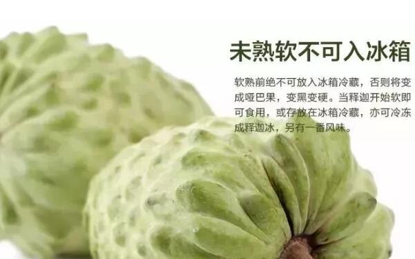 如何挑選釋迦果，臺(tái)灣釋迦果怎么挑選，最簡(jiǎn)單的釋迦果的挑選方法
