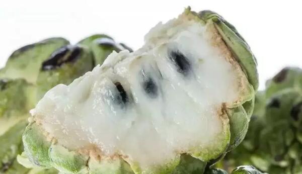 釋迦果的籽能吃嗎，釋迦果籽可不可以吃(釋迦果籽不小心吃了不會中毒)