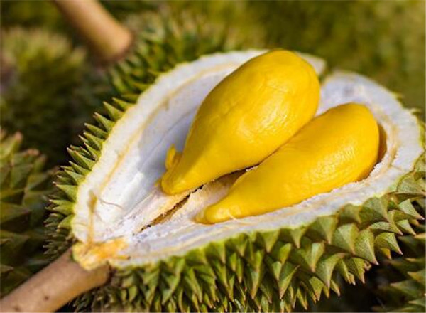 大陸最貴水果排名前十名，國內(nèi)什么水果比較貴