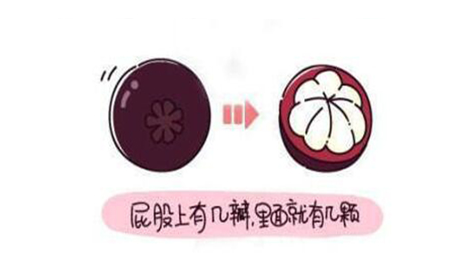 山竹水果的正確吃法漫畫，挑選水果的正確吃法山竹篇