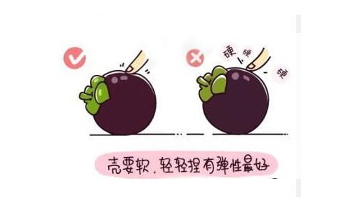 山竹水果的正確吃法漫畫，挑選水果的正確吃法山竹篇