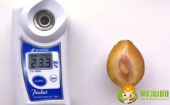 哪個品種的西梅最甜，新疆喀什法蘭西西梅糖度能達到22-25%
